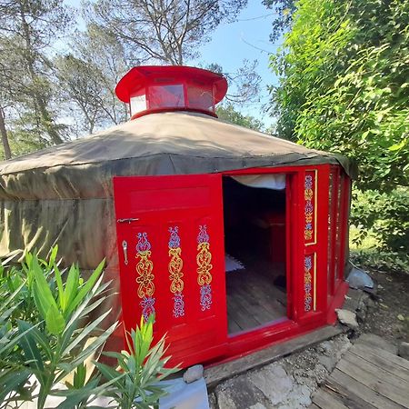 פייאנס B&B L'Albatros מראה חיצוני תמונה