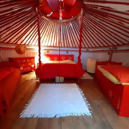 פייאנס B&B L'Albatros מראה חיצוני תמונה