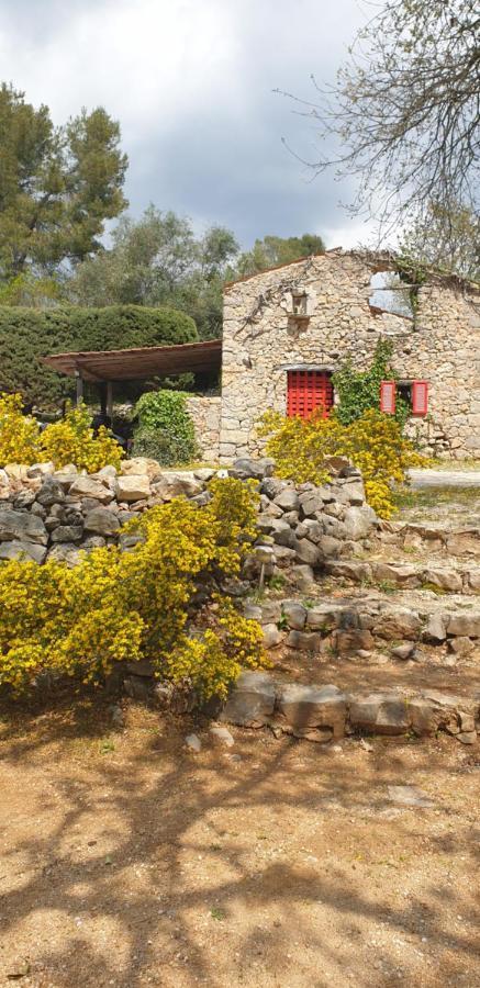 פייאנס B&B L'Albatros מראה חיצוני תמונה