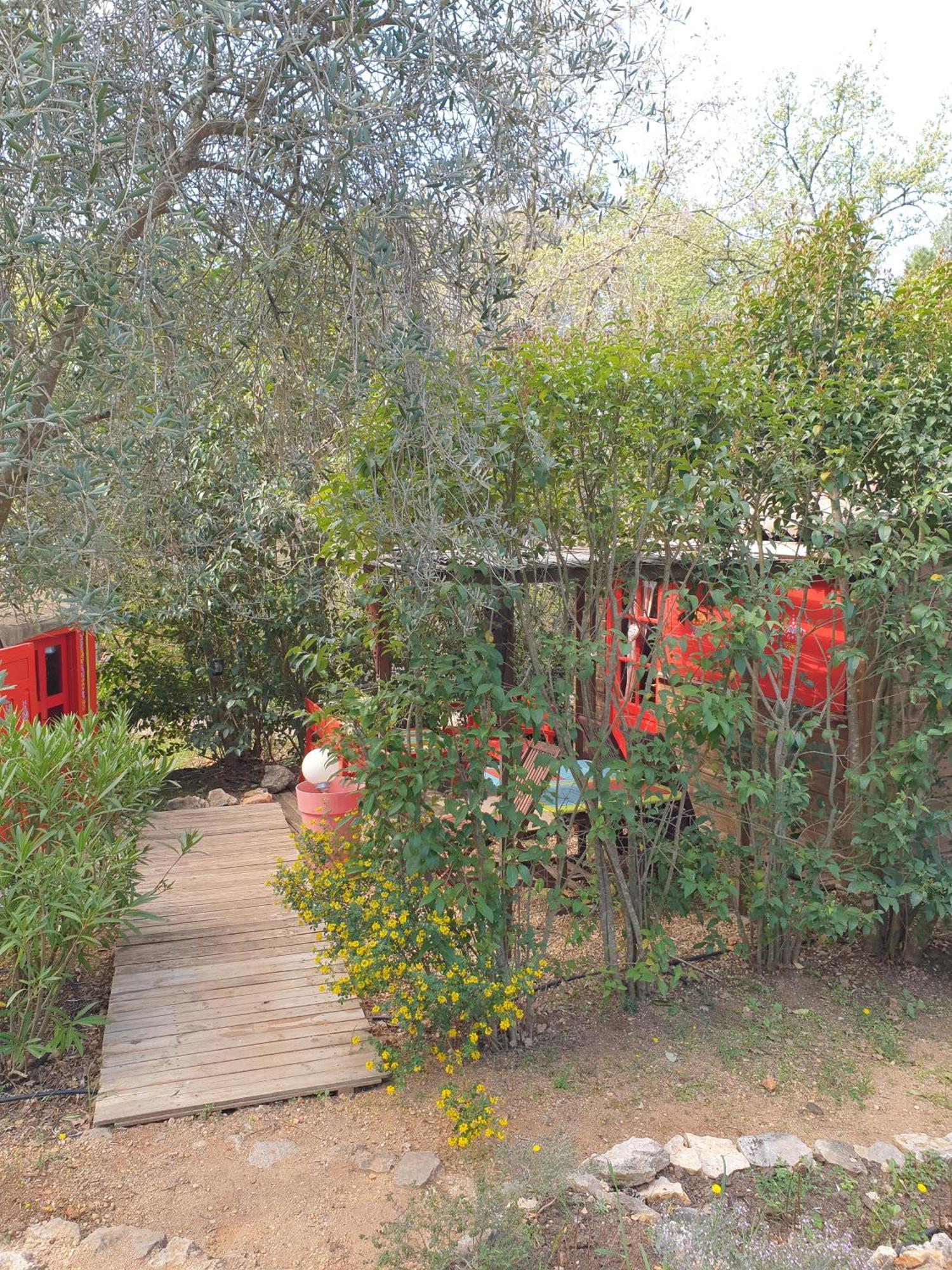 פייאנס B&B L'Albatros מראה חיצוני תמונה